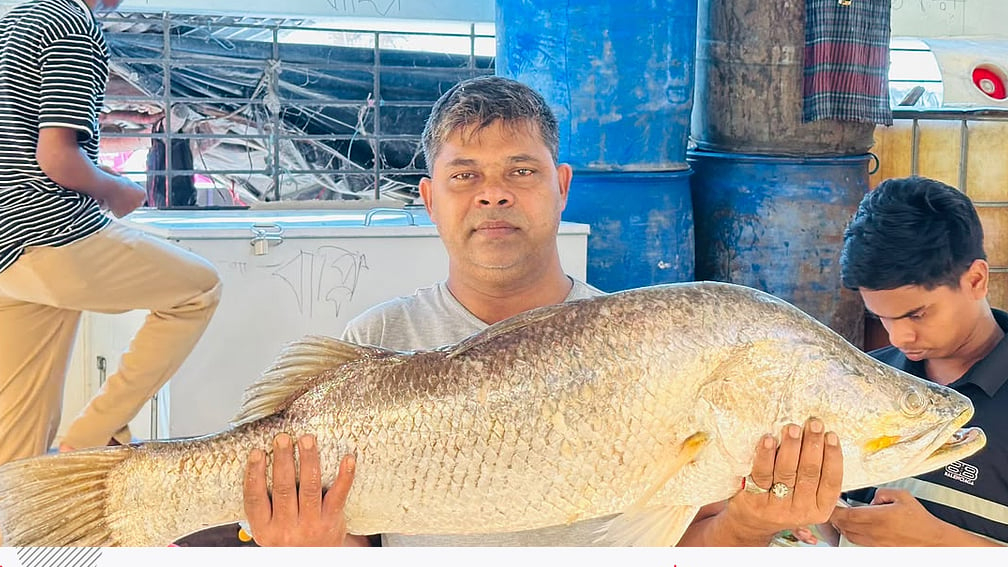 দুই কোরালের ওজন সাড়ে ২৩ কেজি, বিক্রি হলো ৩০ হাজার টাকায়