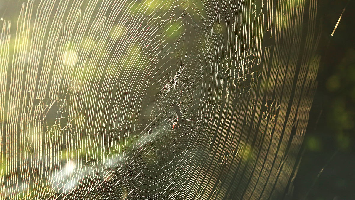 একঝলক (২১ অক্টোবর ২০২৬)