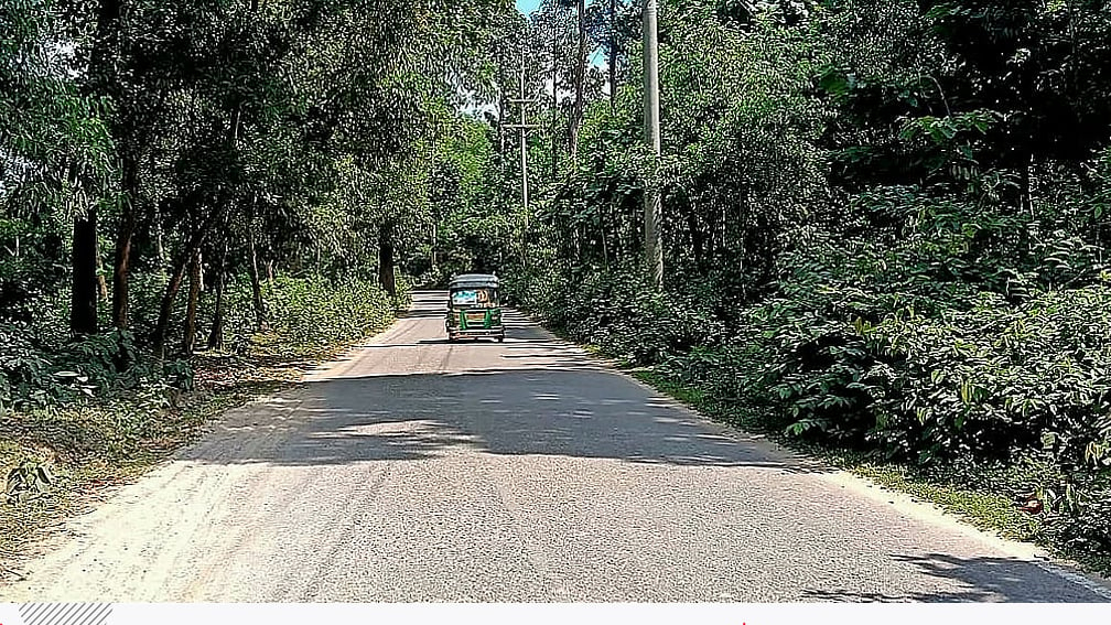 এই সড়কে দিনে চলতেও ভয়